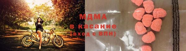 дмт Богданович