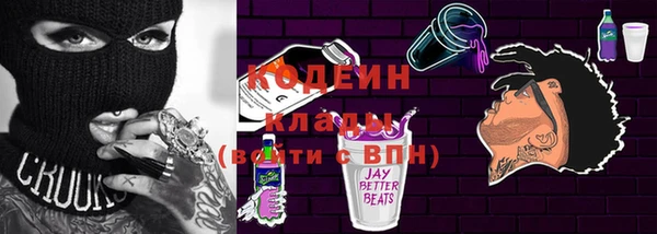 дмт Богданович