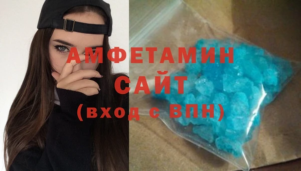 дмт Богданович