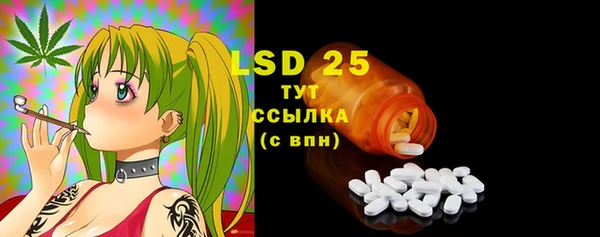 дмт Богданович