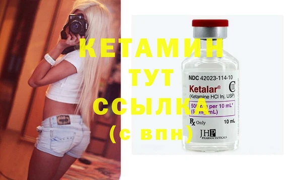 дмт Богданович