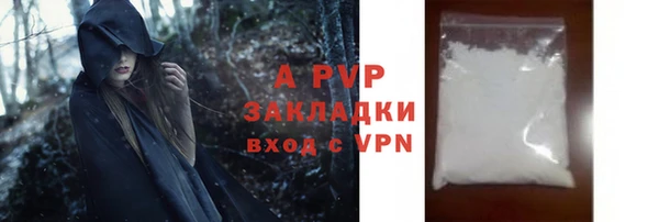 дмт Богданович