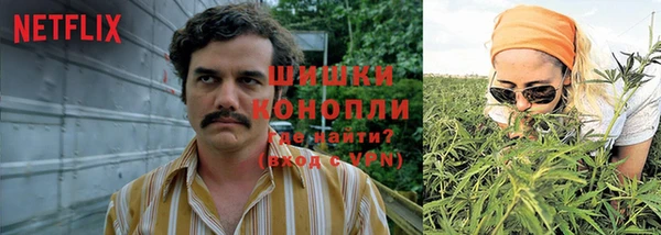дмт Богданович