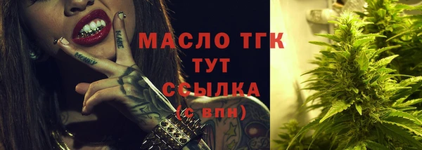 дмт Богданович