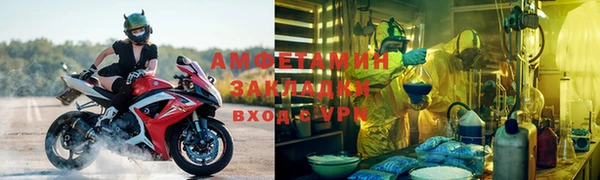 дмт Богданович