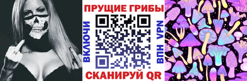 Псилоцибиновые грибы Psilocybe  Бородино 