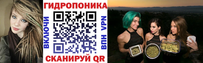 Шишки марихуана гибрид Бородино